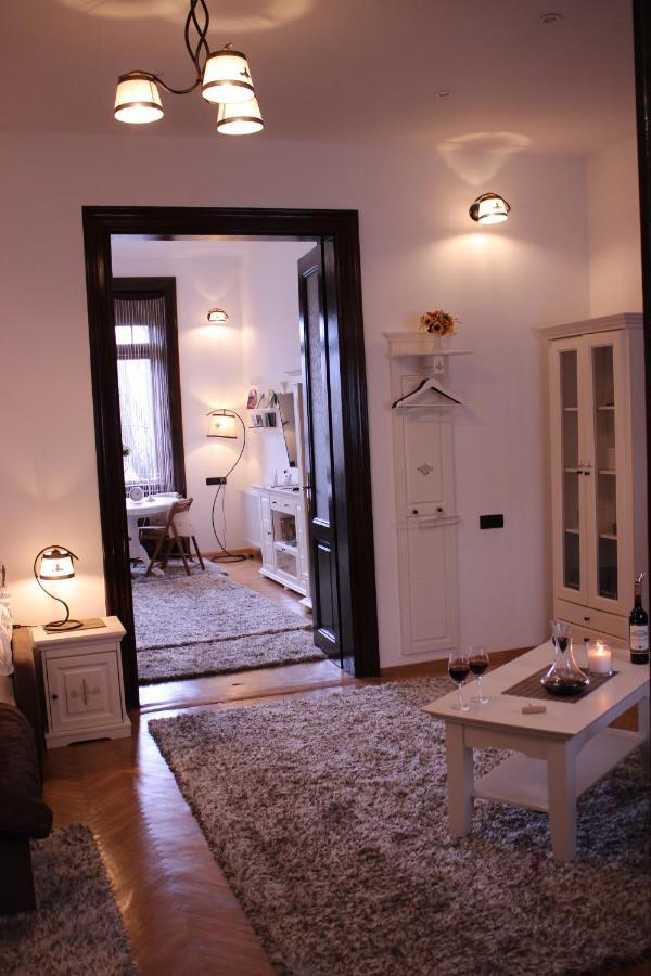 Ella Apartment Timisoara No11 エクステリア 写真