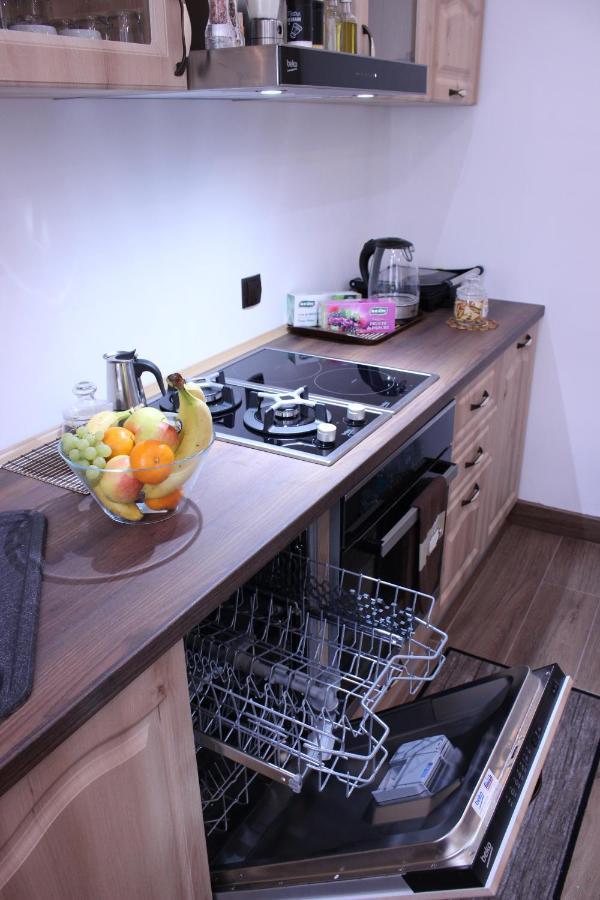 Ella Apartment Timisoara No11 エクステリア 写真