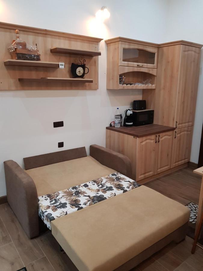 Ella Apartment Timisoara No11 エクステリア 写真